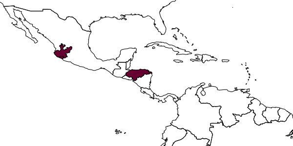 map of Timulla collina     Mickel, 1938